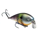 Strike King KVD Shallow Square Bill 1.5 Crankbait Neon Bluegill - Strike King