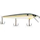 Smithwick Suspending Rattlin' Rogue Jerkbait Foxy Shad - Smithwick