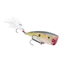 Strike King KVD Splash Topwater Clear Ghost Sexy Shad - Strike King