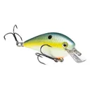 Strike King KVD Square Bill 1.0 Crankbait Chartreuse Sexy Shad - Strike King