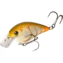 Strike King KVD Square Bill 2.5 Crankbait Bone Craw - Strike King