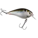 Strike King KVD 1.5 Hard Knock Crankbait Natural Shad - Strike King