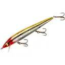 Smithwick Floating Rattlin' Rogue Jerkbait Clown - Smithwick