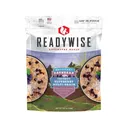 ReadyWise Daybreak Coconut Blueberry Multi-grain Freeze Dried Food 2.5 Servings - ReadyWise