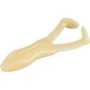 Frog Factory Ribbit Frog 3.5" Frog Bone - Frog Factory