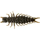 Great Lakes Finesse Juicy Hellgrammite 2.4" Creature Brown Pumpkin Special - Great Lakes Finesse