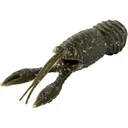 Great Lakes Finesse Juvy Craw 2.5" Green Pumpkin - Great Lakes Finesse
