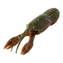 Great Lakes Finesse Juvy Craw 2.5" Green Pumpkin Orange - Great Lakes Finesse
