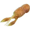 Great Lakes Finesse Juvy Craw 2.5" Motor Oil - Great Lakes Finesse
