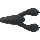 Great Lakes Finesse Snack Craw 2.1" Matte Black - Great Lakes Finesse
