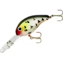 Bandit 300 Series Crankbait Mad Cow - Bandit