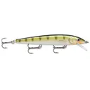 Rapala Husky Jerk 14 Jerkbait Yellow Perch - Rapala