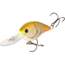 Strike King KVD 1.5 Flatside Crankbait Bone Craw - Strike King