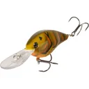 Strike King KVD 1.5 Flatside Crankbait Green Gourd - Strike King