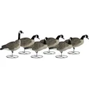 Dakota Decoy Signature Series Full Body Fully Flocked Upright Canada Goose Decoy 6PK with Bags - Dakota Decoys