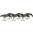 Dakota Decoy Signature Series Full Body Fully Flocked Feeder Canada Goose Decoy 6PK with Bags - Dakota Decoys