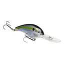 Strike King Pro-Model 5XD Crankbait Natural Shad - Strike King