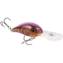 Strike King Pro-Model 6XD Crankbait Brown Phantom Craw - Strike King