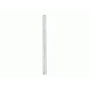 Forster Bench Rest Sizing Decapping Pin Long 5PK - Forster