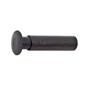 Ruger Takedown Pin LCP - Ruger