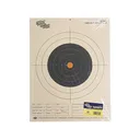 Tetra Gun Competition 100 Yard Small Bore Rifle Targets 10PK - Tetra Gun