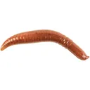 Berkley Gulp! Pinched Crawler 2" Original Scent Nightcrawler 6pk - Berkley
