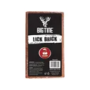 Big Tine Lick Brick Deer Attractant Cherry Rush 4lbs - Big Tine