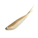 Zoom Tiny Fluke Arkansas Shiner - Zoom