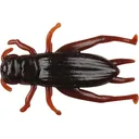 Berkley Gulp! Cricket Cricket Brown 8pk - Berkley