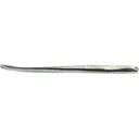 Roboworm Straight Tail Worm 4.5" Hologram Shad - Roboworm