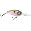 Bomber Fat Free Shad Crankbait Electric Shad - Bomber