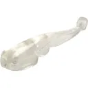Mr. Crappie Lil' Suck'r 1.5" Swimbait Prism - Mr Crappie