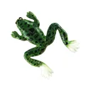 Creme Livin' Frog Green - Creme