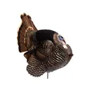Dave Smith Decoys DSD Jake Strutter White Face Turkey Decoy - Dsd