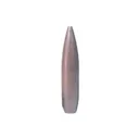 Tubb Final Finish 284 Caliber Bore Lapping Bullets - Tubb