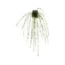3 Brothers Baits Loaded Dice Bait Sanchez - 3 Brothers Baits