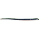 Roboworm Straight Tail Worm 6" Aaron's Magic - Roboworm
