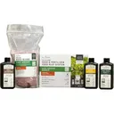 Illusion Systems Easy Greens Clover and Chicory Food Plot Seed Combo - Illusion Systems