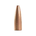 Speer Gold Dot Rifle 22 Caliber (224 Diameter) Bullets 55 Grain Bonded Jacketed Soft Point Box of 100 - Speer
