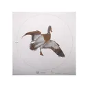NRA Official Lifesize Game Target Mallard Paper 25PK - Nra