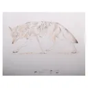 NRA Official Lifesize Game Target Coyote Paper 25PK - Nra