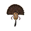 Illusion Systems Utimate Turkey Fan Mounting Plaque - Illusion Systems