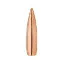 Factory Second Match 30 Caliber (308 Diameter) Bullets 169 Grain Jacketed Hollow Point Box of 100 (Bulk Packaged) - Factory Second Bullets