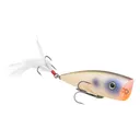 Strike King KVD Splash Topwater Oyster - Strike King