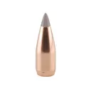 Factory Second Varmint 20 Caliber (204 Diameter) Bullets 40 Grain Polymer Tip Box of 100 (Bulk Packaged) - Factory Second Bullets