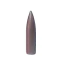 Tubb Final Finish 25 Caliber Bore Lapping Bullets - Tubb