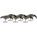 Dakota Decoy Signature Series Full Body Feeder Canada Goose Decoy 6PK - Dakota Decoys