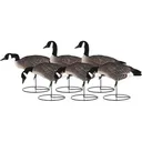 Dakota Decoys X-treme Fully Flocked Lesser Canada Goose Decoys 6PK - Dakota Decoys