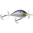 Bagley Pro Sunny B Twin Spin 07 Topwater Realistic Shad - Bagley