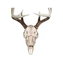 Illusion Systems Skull Master Natural Causes Universal Antler Mounting Kit - Illusion Systems